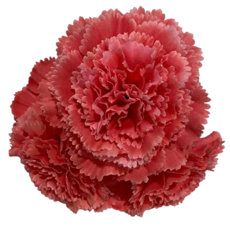 ACCESORIO BVTR FLOR GRANDE ROSA