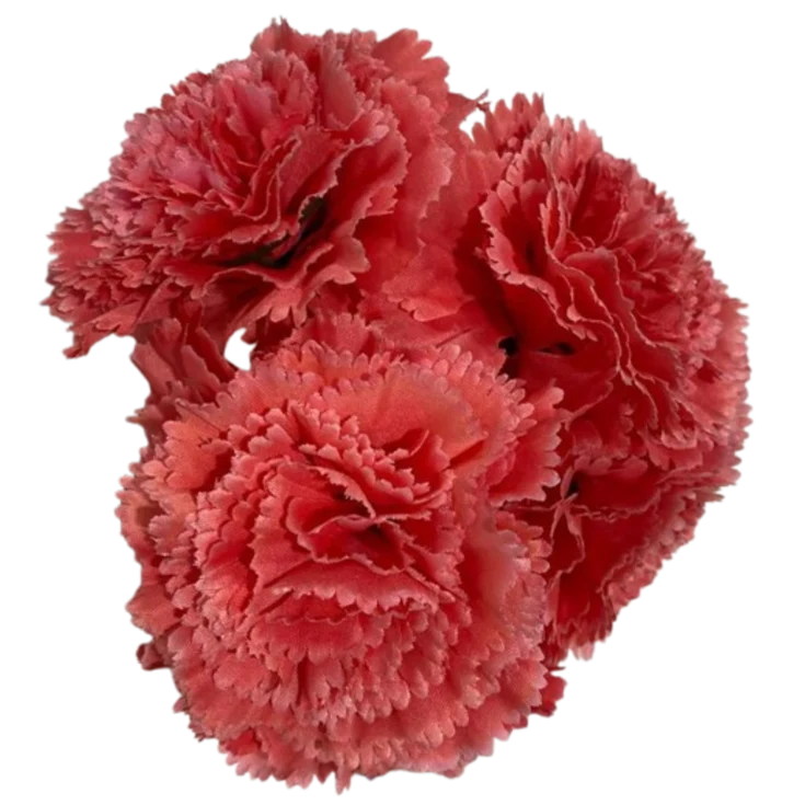ACCESORIO BVTR FLOR GRANDE ROSA