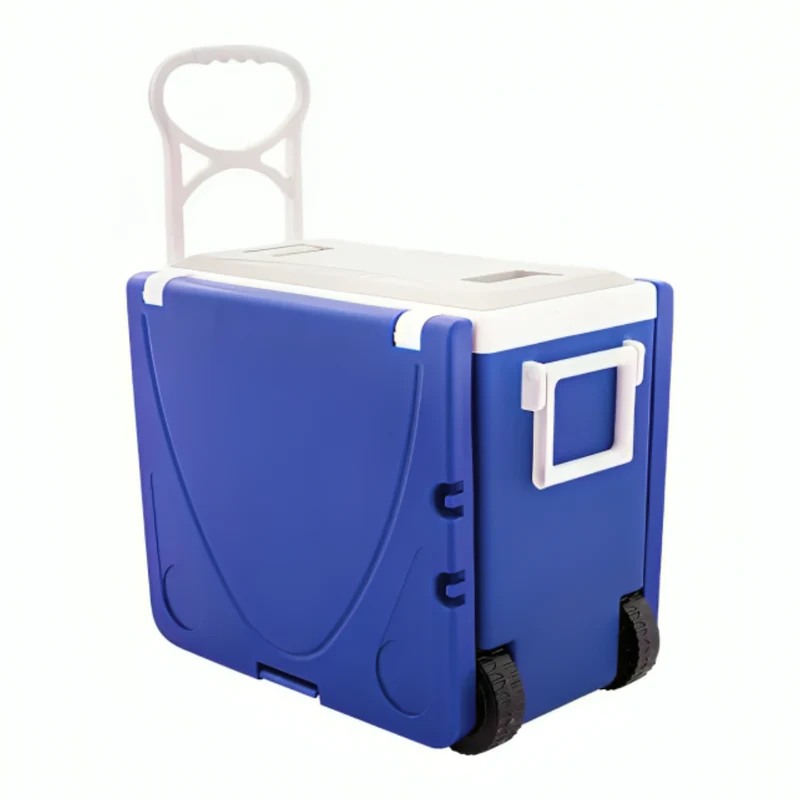 Miomu Hielera Plegable Multiusos para Mesa y Silla