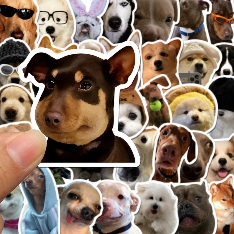 Miomu Set de Stickers, Memes de Perritos Graciosos