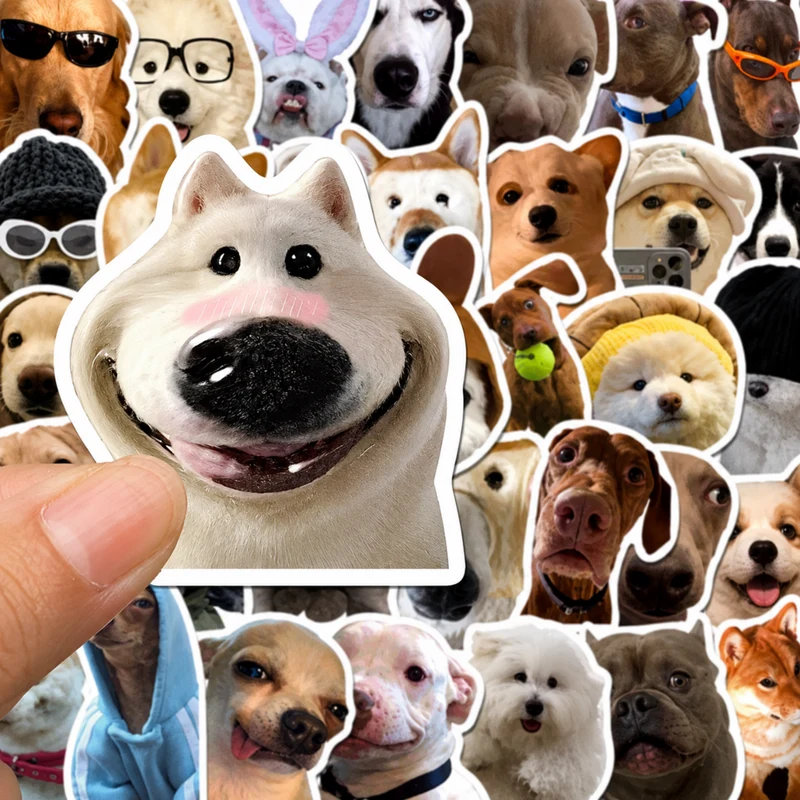 Miomu Set de Stickers, Memes de Perritos Graciosos