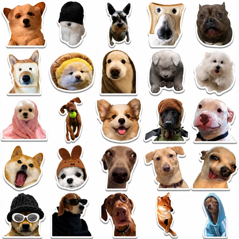 Miomu Set de Stickers, Memes de Perritos Graciosos