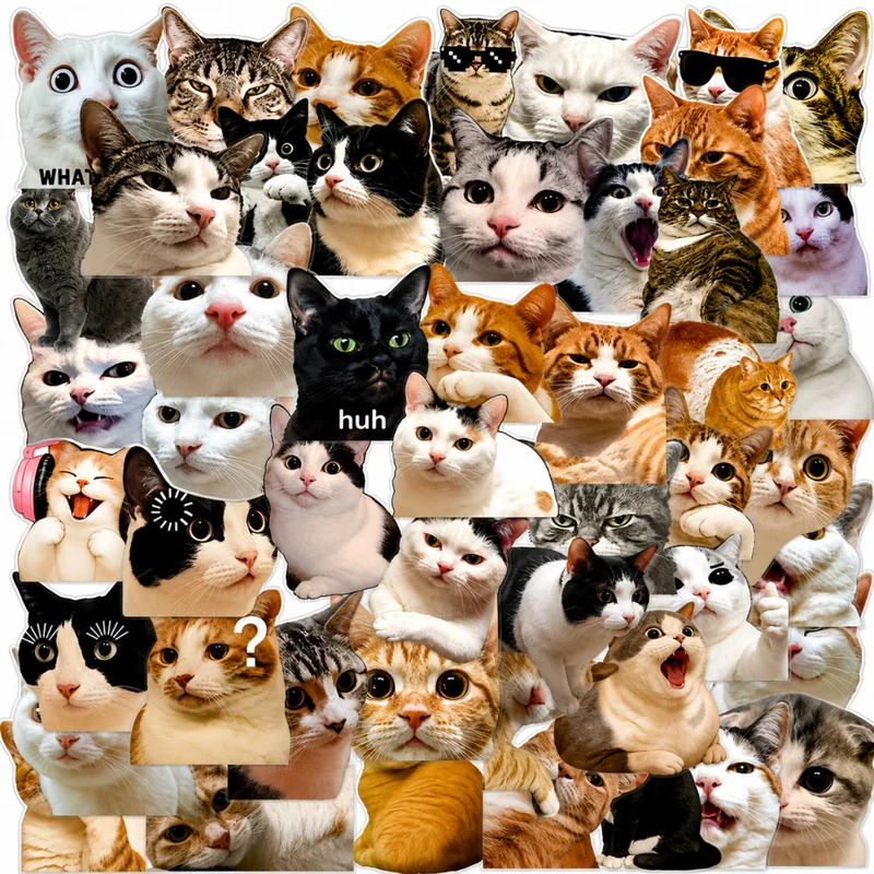 Miomu Set de Stickers, Memes de Gatitos Graciosos