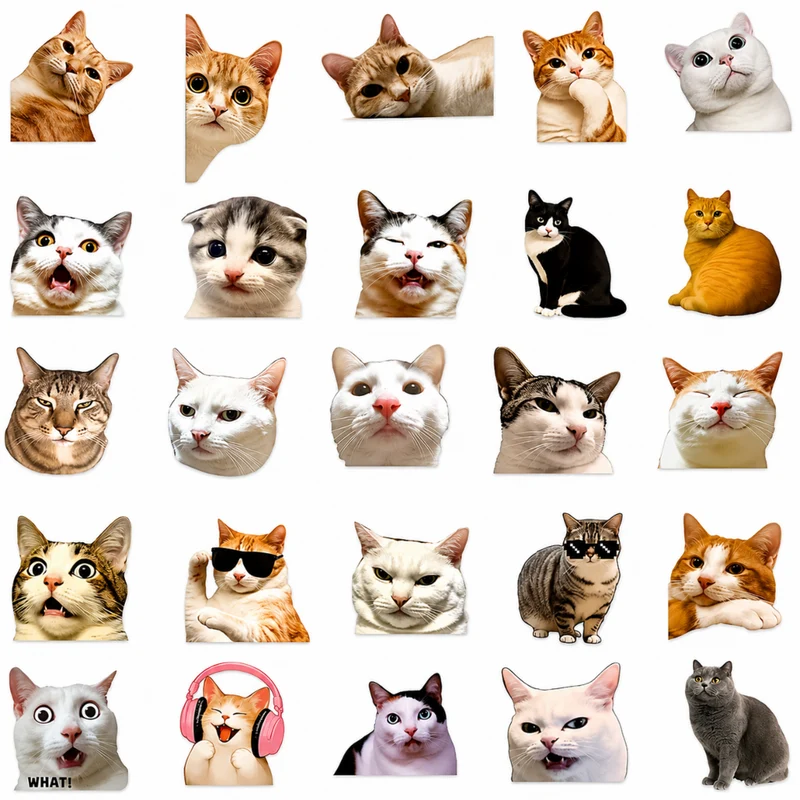 Miomu Set de Stickers, Memes de Gatitos Graciosos