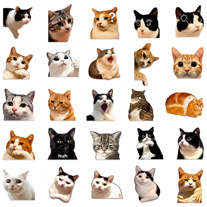 Miomu Set de Stickers, Memes de Gatitos Graciosos