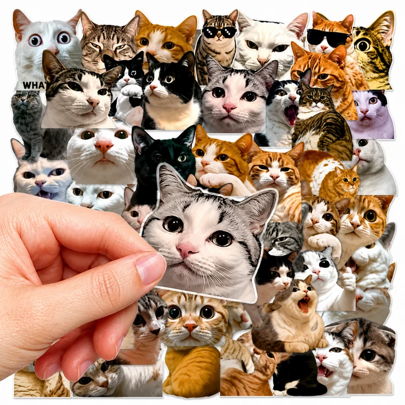 Miomu Set de Stickers, Memes de Gatitos Graciosos