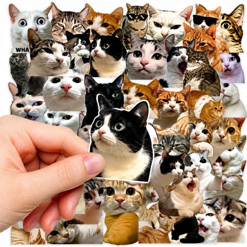 Miomu Set de Stickers, Memes de Gatitos Graciosos
