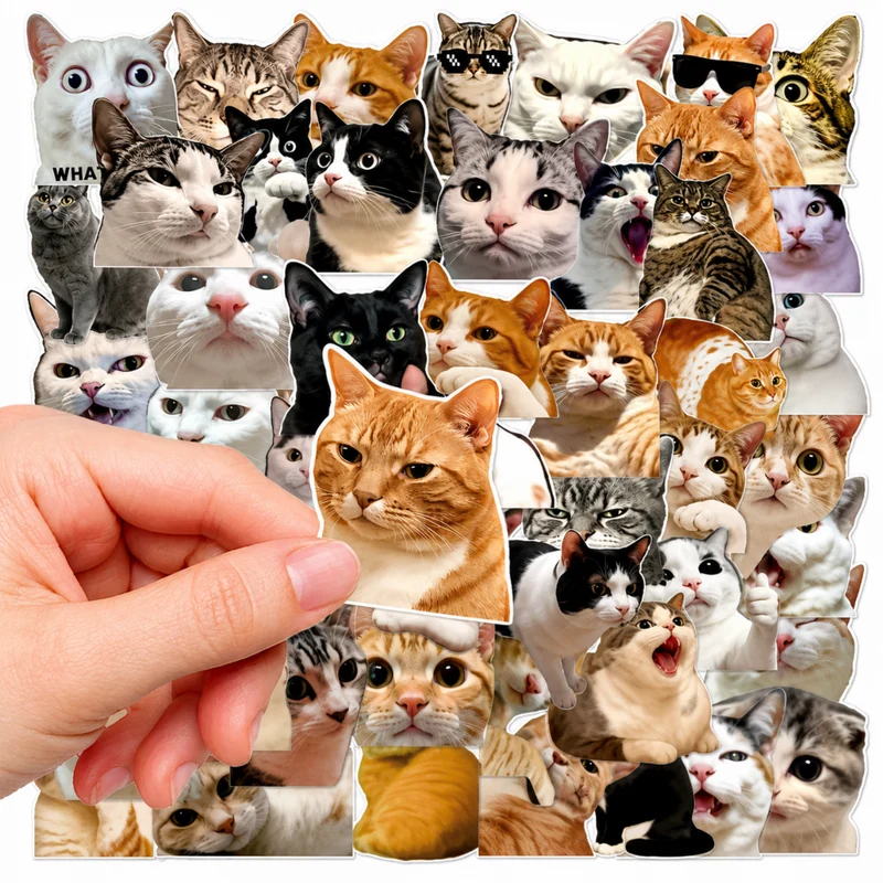 Miomu Set de Stickers, Memes de Gatitos Graciosos