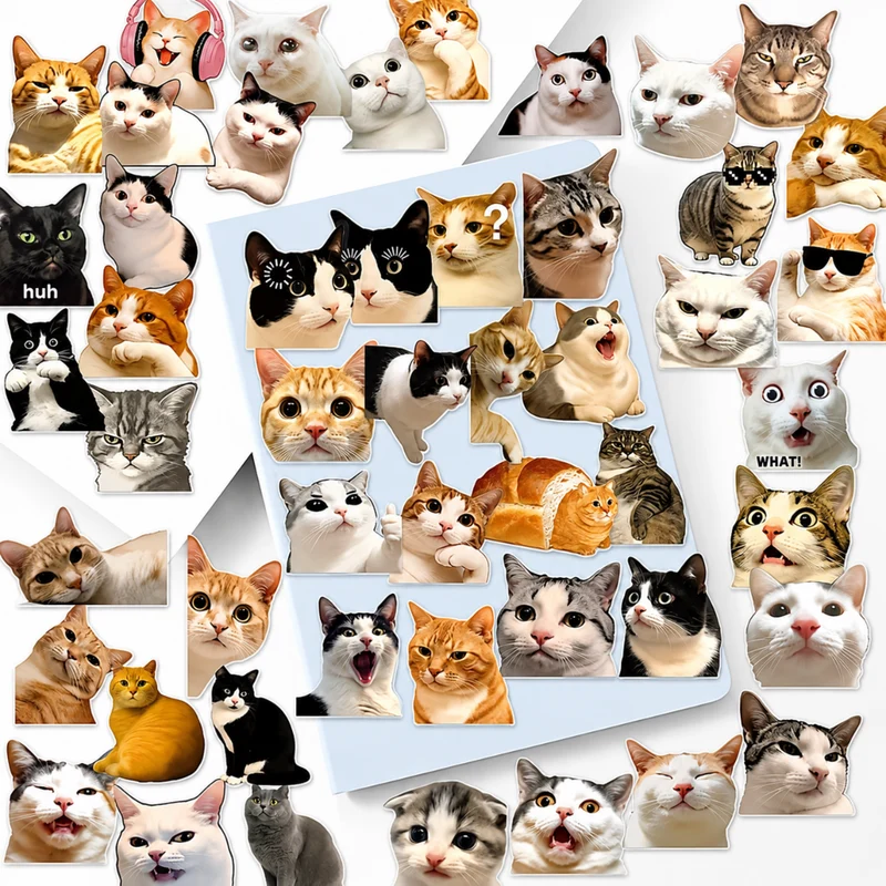 Miomu Set de Stickers, Memes de Gatitos Graciosos