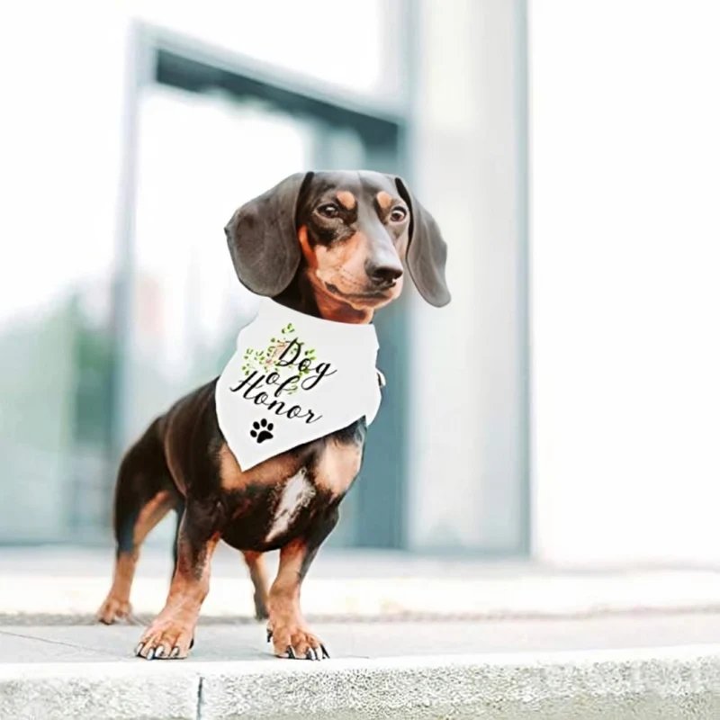 Miomu Bandana para Perros con Estampado