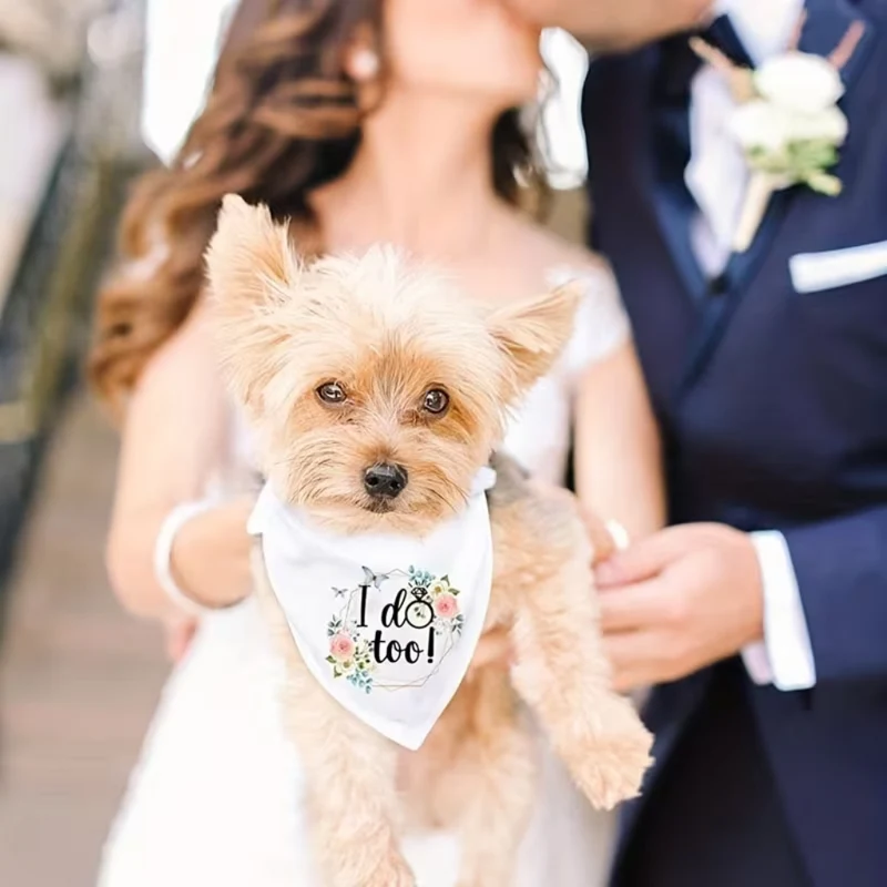 Miomu Bandana para Perros con Estampado