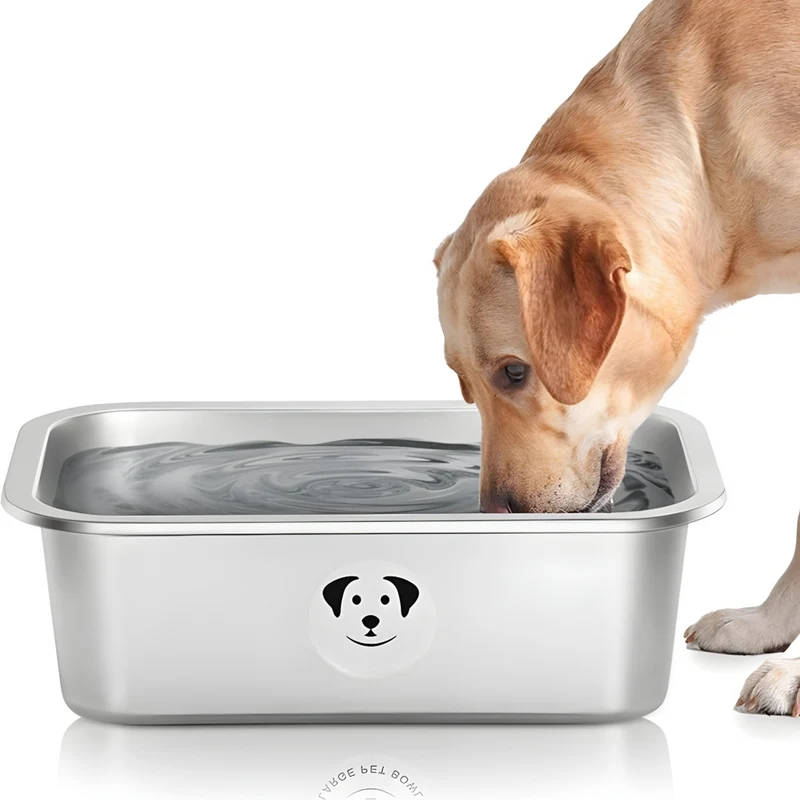 Miomu Taza para Alimento de Mascotas