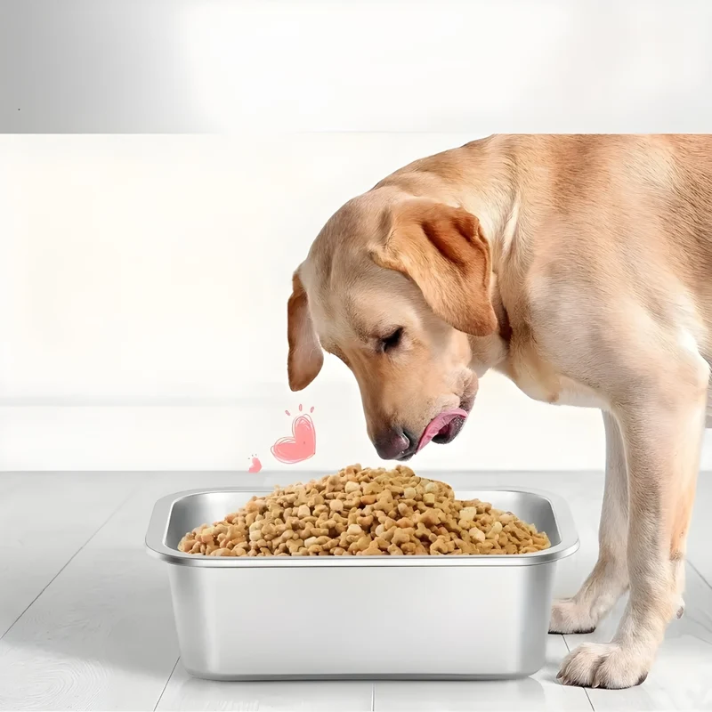 Miomu Taza para Alimento de Mascotas