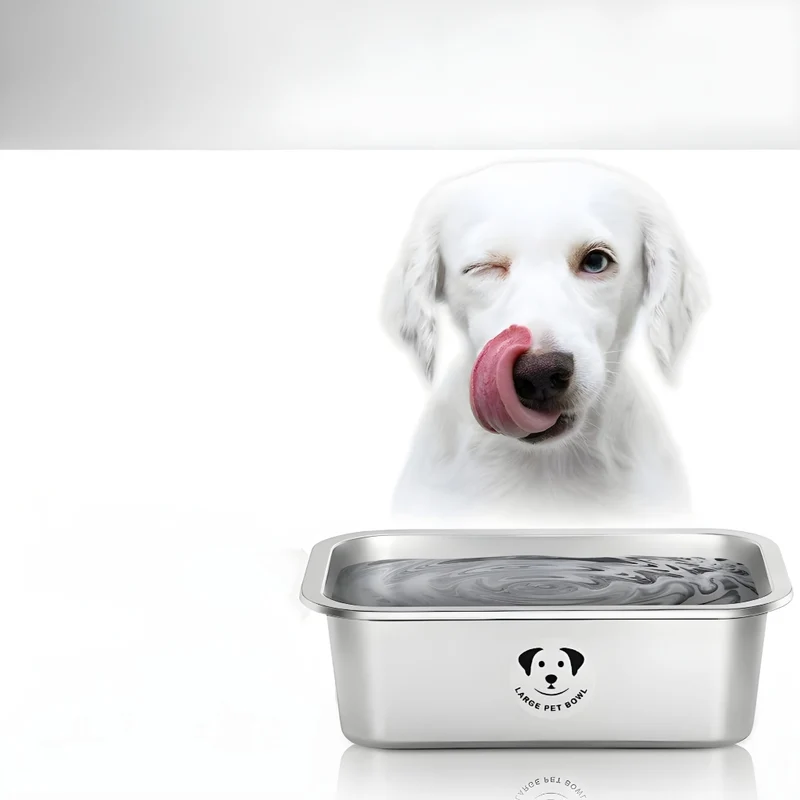 Miomu Taza para Alimento de Mascotas