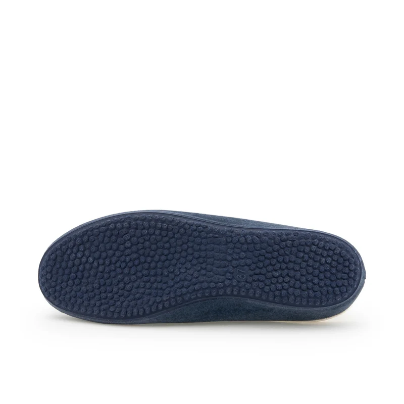Zapatilla casa azul 283573 Norteñas