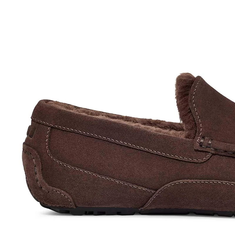 Zapatilla casa serraje marrón ASCOT UGG