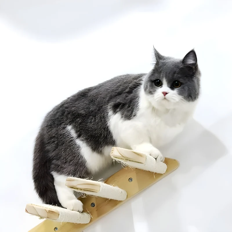 Miomu Estante Escalador Aéreo para Gatitos Trepadores