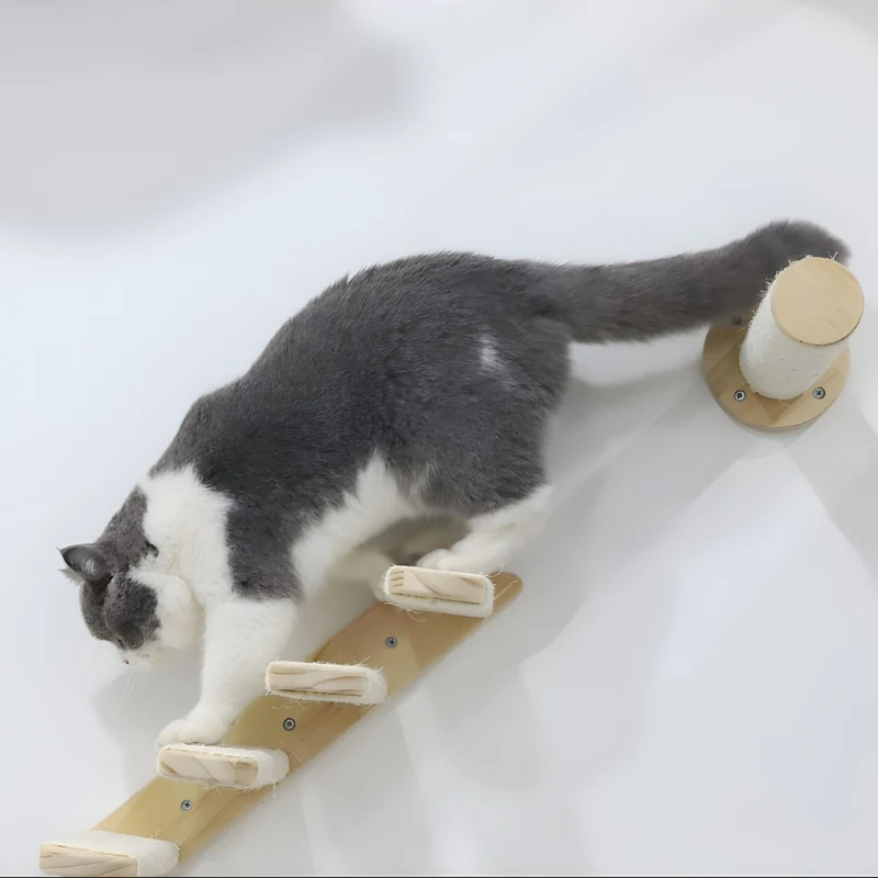Miomu Estante Escalador Aéreo para Gatitos Trepadores