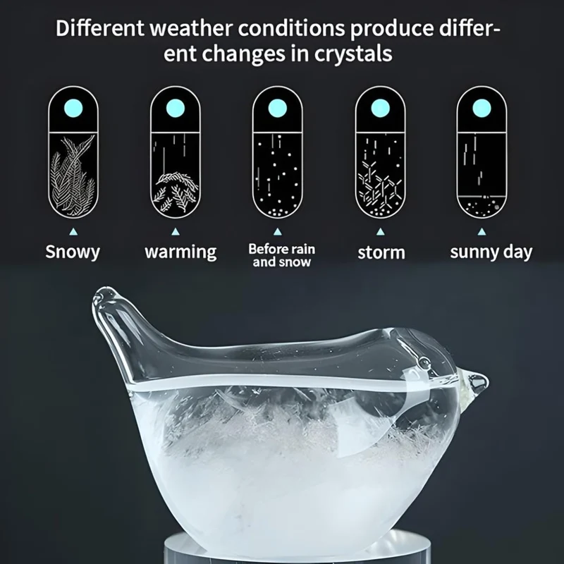Miomu Pajárito de Cristal Indicador Climático