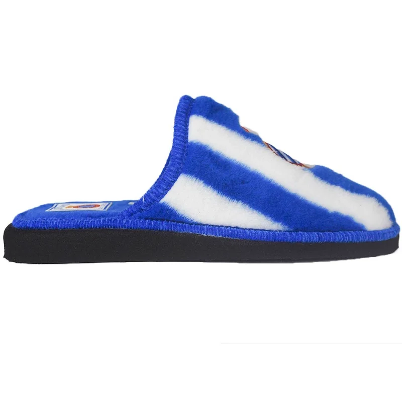 Zapatillas de Casa Espanyol
